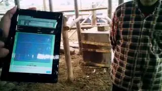 video codecow