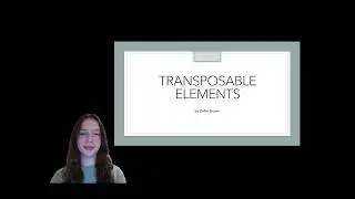 Transposable Elements