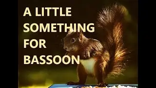 Nikolay Dimitrov - A little something for bassoon