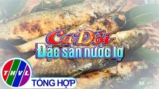 Bếp Việt: Cá đối - đặc sản nước lợ