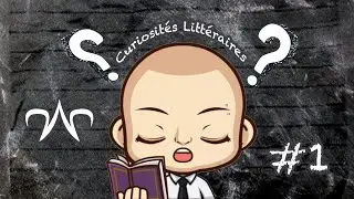 [Curiosit&eacute;s Litt&eacute;raires 1] Dragon Ball Z Budokai Tenkaichi 2
