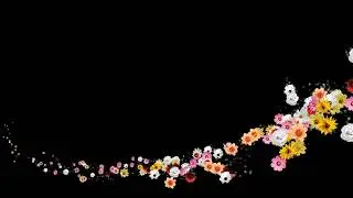 FREE OVERLAY FLOWER 2