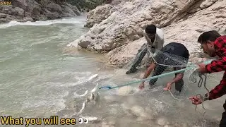 Mastering Professional Fishing Techniques: Catch Multiple Fish with Expert Angling