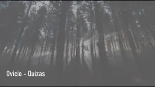 Dvicio - Quizas - Letra