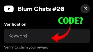 Blum Chats #20 Blum Video code | Blum Academy code | Blum Today video code