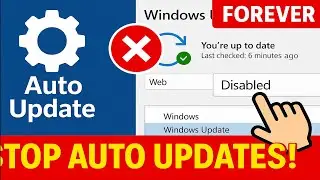 Stop Auto Updates in Windows 11 FOREVER &ndash; 2 Click Fix! [2025 Guide]