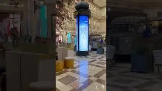Катар 🇶🇦 Виладжо #наталикатар #жизнь #экскурсия #отдых