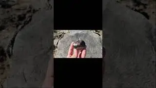 Hand, Polished, rock, tumbling, beautiful, before and after, #crystals #rockhounding #rockhunting