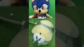 ARE YOU KIDDING ME!? 😱😡 #shorts #sonicplush #foryou