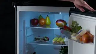 Everchill&reg; by Furrion 12V, 10.7 cu. ft. RV Refrigerator with Dual Swing Doors