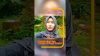 Solusi Terbaik ngerefresh otak, camping !! #campingpinggirsungai #campingmurah #rekomendasicamping