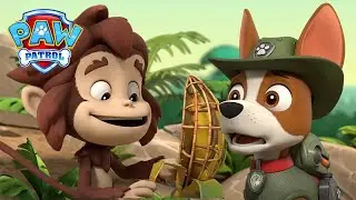 Дали този фалшив банан ще заблуди Големия космат? - PAW Patrol Bulgarian - карикатури за деца