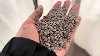 PE Crushed Material Double Stage Water Ring Cutting  Granulation Process!!!