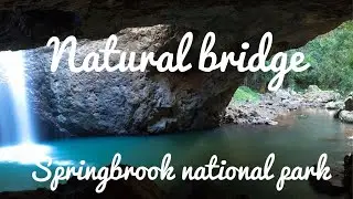 Natural Bridge Springbrook National Park Queensland Australia