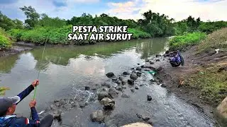 Niat Mancing ikan Nila,Malah Pesta Strike ikan Mba Bela