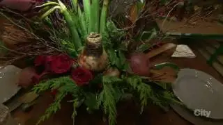 Live Eye 4 - Christmas Garden 20161212