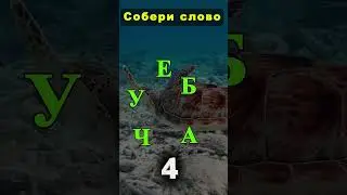Собери слова из букв.  Сможешь?