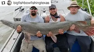 GIANT Alligator Gar Fishing with Captain Mark Malfa | Fishy Jobs 🎣🐊