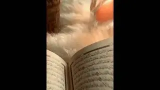 Halal profession in Islam #shorts #halal #islam #allah #quran #professional