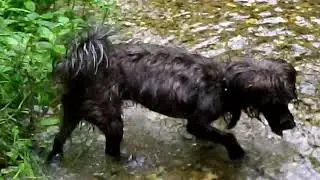 12. Ashwell Spring