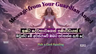 Message from Your Guardian Angel 💖 ඔබගේ ඉෂ්ට දේවතාවගෙන් පණිවිඩයක් ! 💖