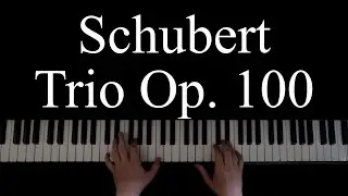 Schubert - Trio Op. 100 - Andante con moto - Piano Cover - Steinway Model O