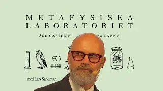 Lars Sandman  - m&auml;nniskov&auml;rde och metafysik