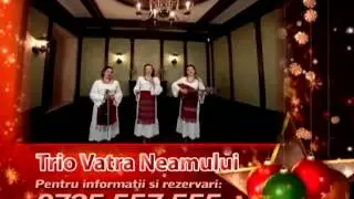 Promo - REVELION 2013 - Vatra Neamului