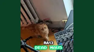DEAD MAU5