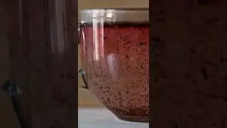 Importance of hibiscus tea. 🍵🫖🥄#shorts #hibiscustea