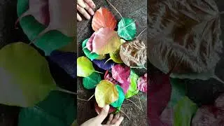 Decoration with dry Leaves | Dry leaves hack