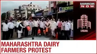Maharashtra Dairy Farmers protest against Uddhav Govt, Demand higher returns per litre
