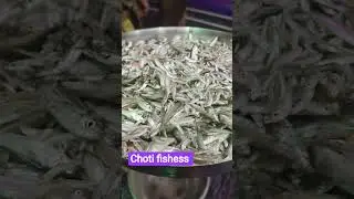 choti fishess#short #yutb #videofish