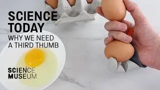 Why we need a third thumb