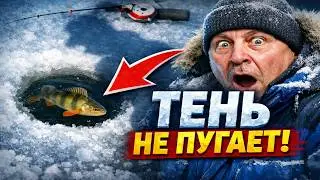 ТВОЯ ТЕНЬ ПУГАЕТ РЫБУ? Хватит верить в этот бред!