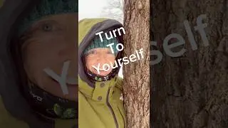 Freedom Begins Within - Turn To Yourself For Everything | Embodied Reflections