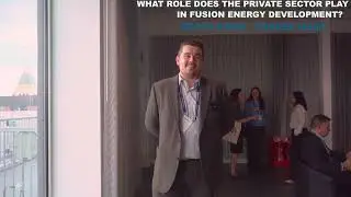 What Role Does the Private Sector Play in Fusion Energy Development?