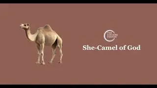 Story of Prophet Saleh (PBUH) and the She-Camel of God | A Quranic Lesson