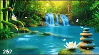 Relaxing Music for Stress🌿 Sleeping Music, Good Dream, Calm Your Soul for Peace💚💛🧡❤️