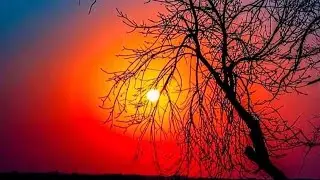 ኑ ያጀማአ መጥቻለሁ ላይቨ ስታልፉ ዘይሩኝ