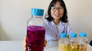 #205. Trải nghiệm 7 vị kombucha tuyệt vời cùng Mita