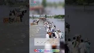 Help flood affected people | folood In Pakistan | Raza Saqib Mustafai Sab #shorts #status #flood