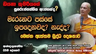 අපි නැවත ඉපදෙනවද? නැද්ද? Are we born again? Or not?