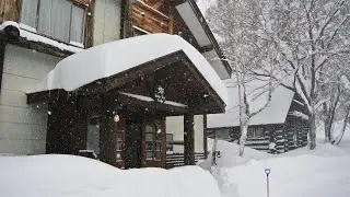 Отель WhiteTree Lodge | Нагано, Япония | Отзыв об отеле 🏩