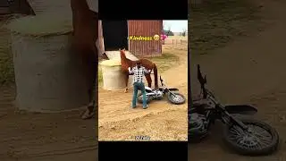 Unbelievable! This horse saved its owner&rsquo;s life at the last second!