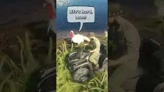 Большая ДЕПРЕССИЯ на Те Авароа😨😨❗Животные, помеченные моим Великим, Измельчите Охотника, Зов Дико...