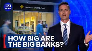 Why Australia&rsquo;s biggest bank is booming despite interest rate hikes | 9 News Australia