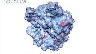 Making molecular animations using UCSF Chimera