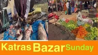 Katras Bazar Dhanbad  Jharkhand| 🐟Machhali 200 Kg#katras #katrasgarh #Jharkhand #vlog 