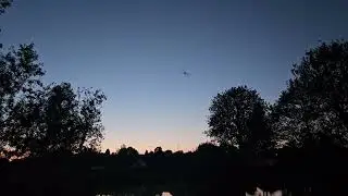 Bats in Brook Hollows May 2025 Part 1